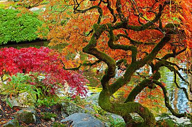 《阿凡达：潘多拉边境》PS5特性预告 超强的沉浸感