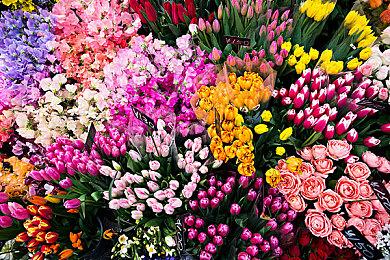 《小小世界》将于2月15日结束抢先体验推出1.0版，登陆PC及主机平台！