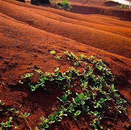 三部《生化危机》还将获得3D音频和主机高帧率更新
